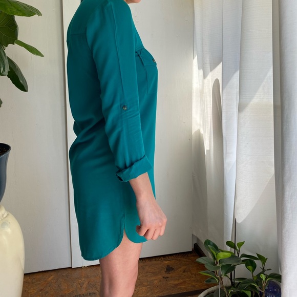 T5 Naked Zebra shirt dress - Picture 4 of 8